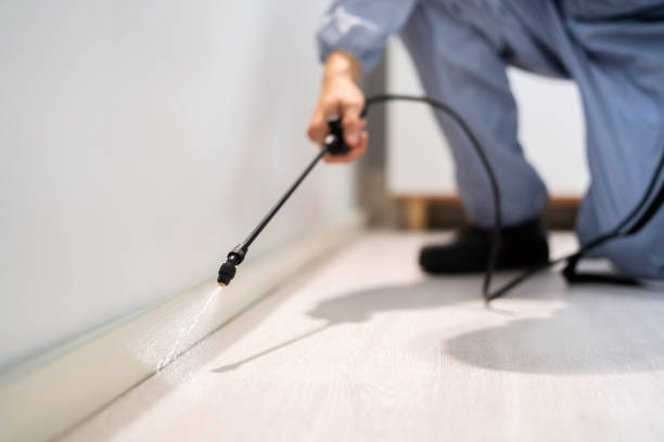 Professional exterminator conducting IPM assessment in Nooksack