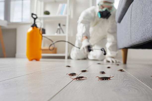 Commercial Kitchen Cockroach Control in Nooksack